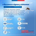 «¡Cuidemos nuestra salud! Precaución ante la posible transmisión de Dengue»